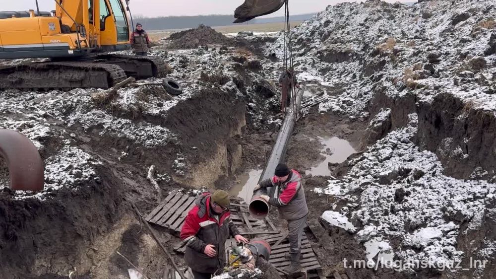 ����������� "�����������" ���������� ������ ���������� ������� �������������� �����������