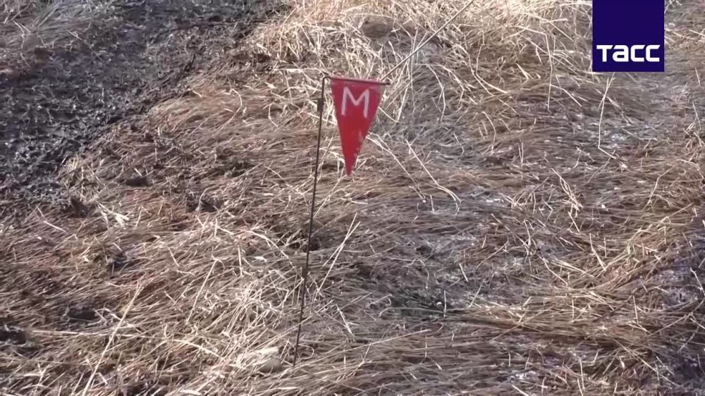 ������ � ������ ���� ������������� ����� 500 �� ���������� ���, �������� � ���������� ��