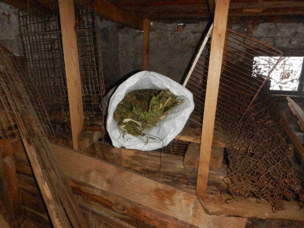 � ������ �. ������ ������ ������������� ��������