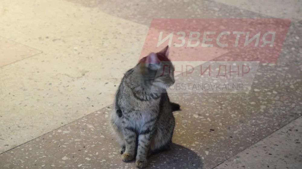 ���� ��������� ������ �������� ��������-��������� ����� �������� ����������, ������� ��� ������� � 1988 ����