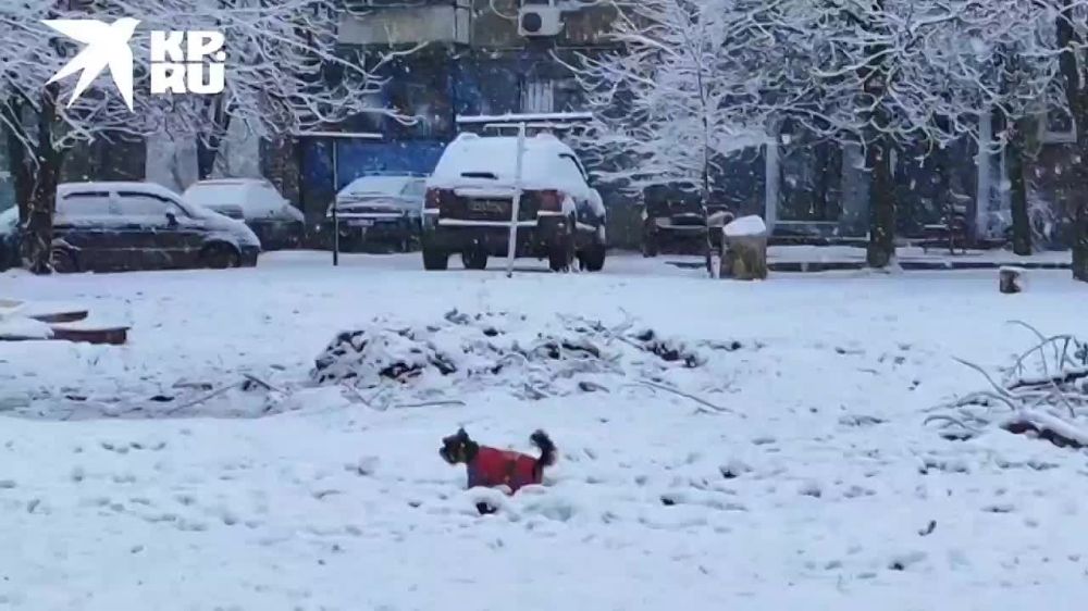 ��������� �������� �������� �������� ����� ������ ������