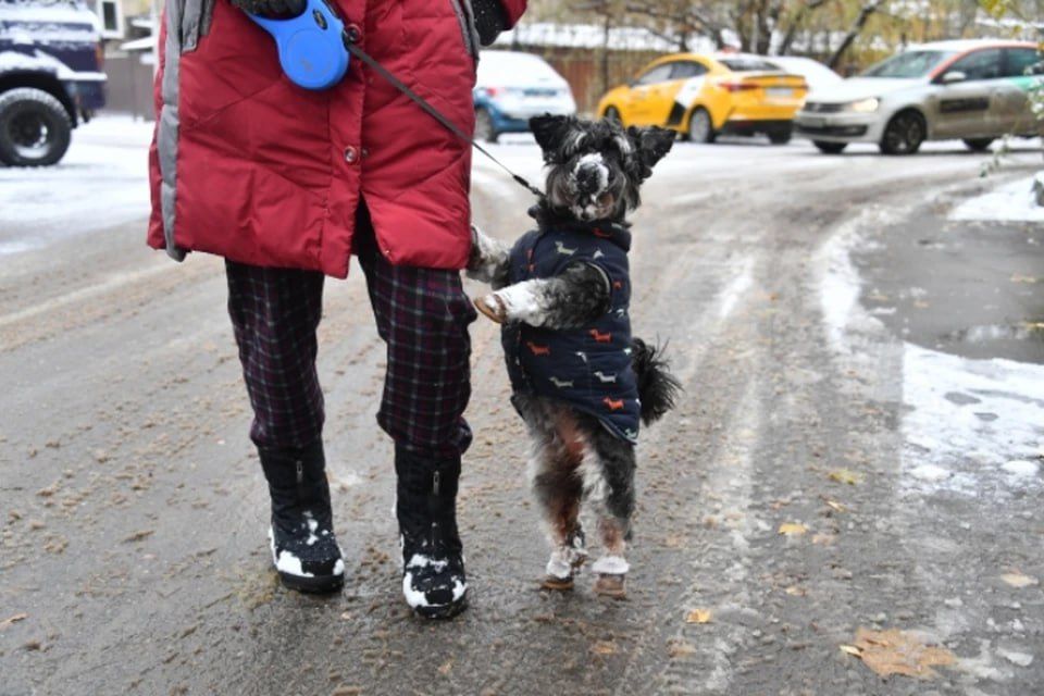 ������� ����� ������������ ��������� � ��� 9 �������