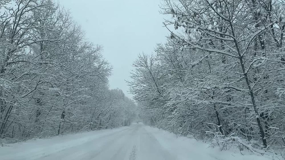 �� ����� ��������� ������� � ��������