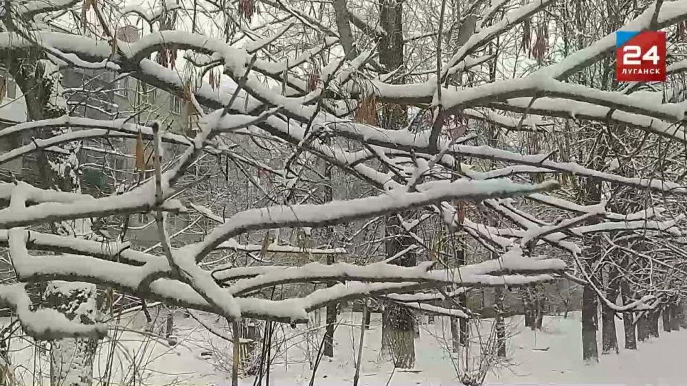 � �������� ������� ���� � ��������� �������