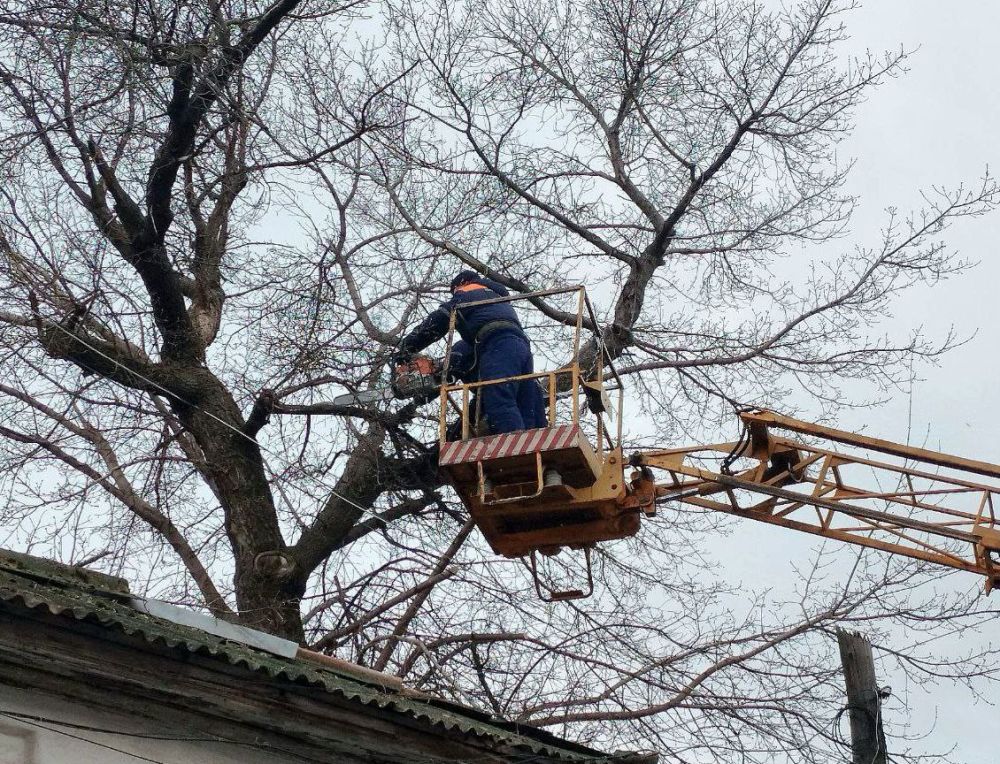 ������������� ������ ������� ����� ������� ����