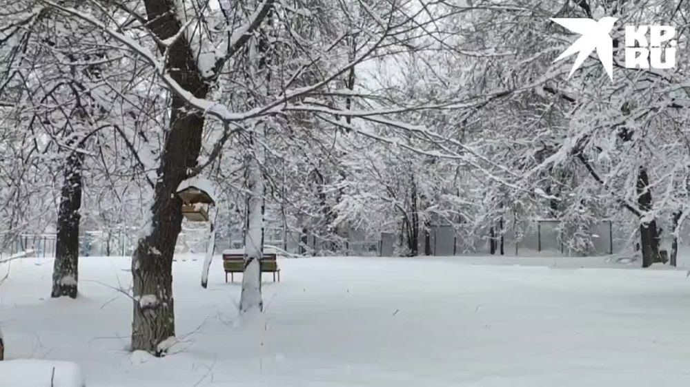 ��������� ������ � ��������