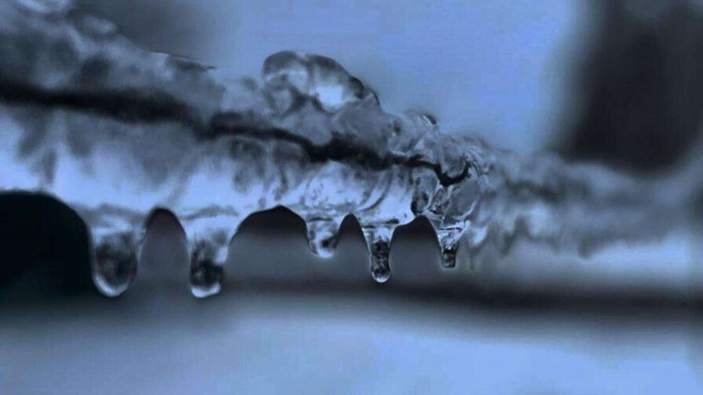 ��-�� �������� ����� � ��� ����� 67 ����� ������� �������� ��� ����������������