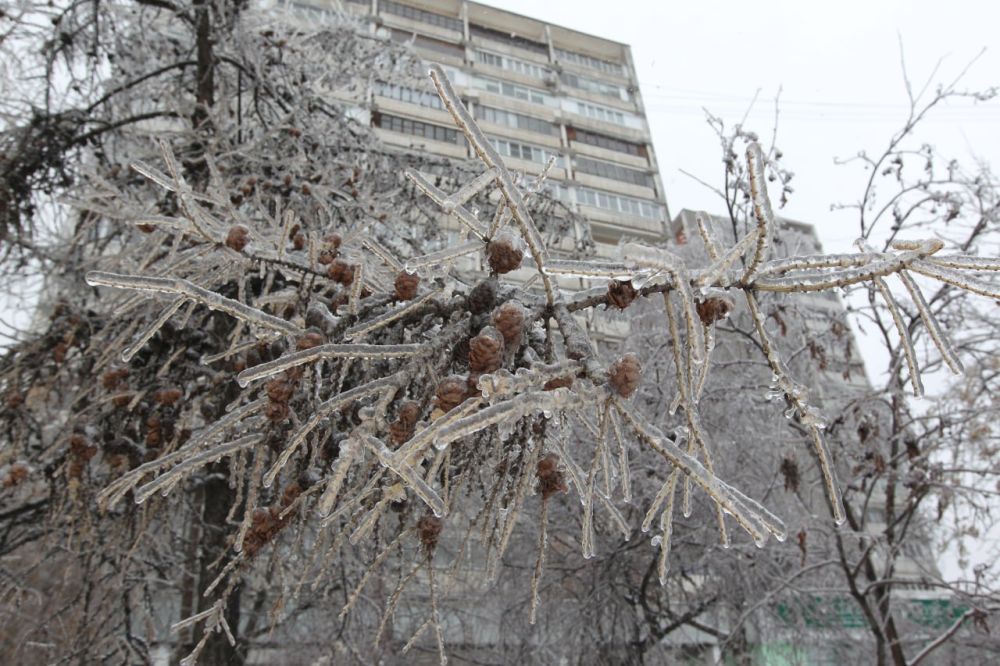 � ��� ��������� ��������� ��������������