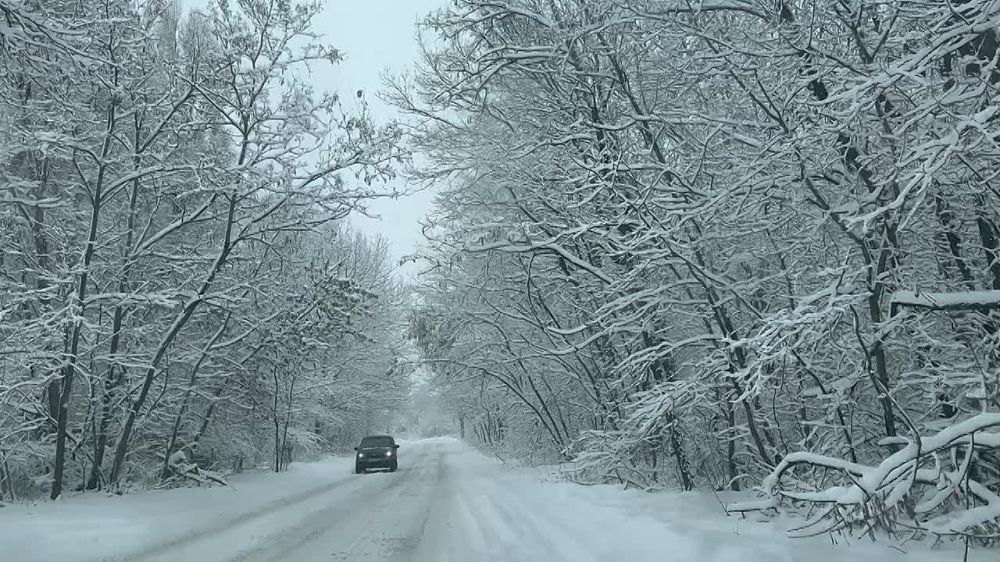 ������������� �������� ��������� ������� �������� ����������� �������� � ������������ ����������� �����������, � ����� ������ ���������� � ������ ����� � ��-��� ��������