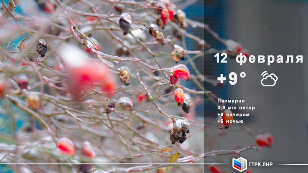 ������ ����, ��������� �������� ����������!