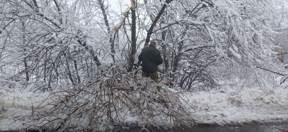 �������� ������ �� ���������������� ���������