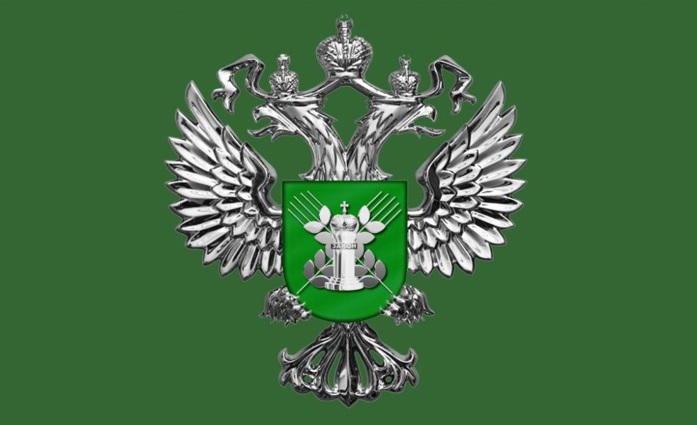 ���������� ������� �������� �� ������� ���������� ������� ������ ��������� �� ���������� ���