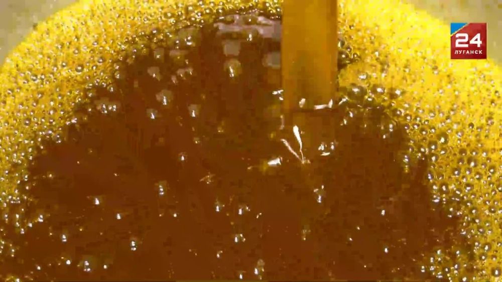 ����� ����� ����������������� ������ ������� � ��������������? �������� � ����� ������� ��������� �������� ������ �� ���������� �������� 24�