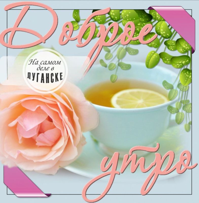 ������ ����, �������!. �������� ������ ����� ��������� � �������� � ��������� �������� ���������� �� ������ ������. ��� �������