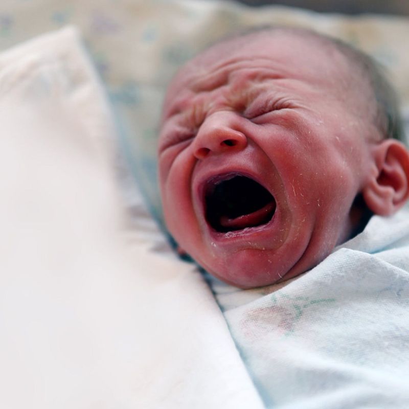 �� ������ � 7 �� 13 ������� � ��������� �������� ���������� �������� 87 ������� - 52 �������� � 35 �������