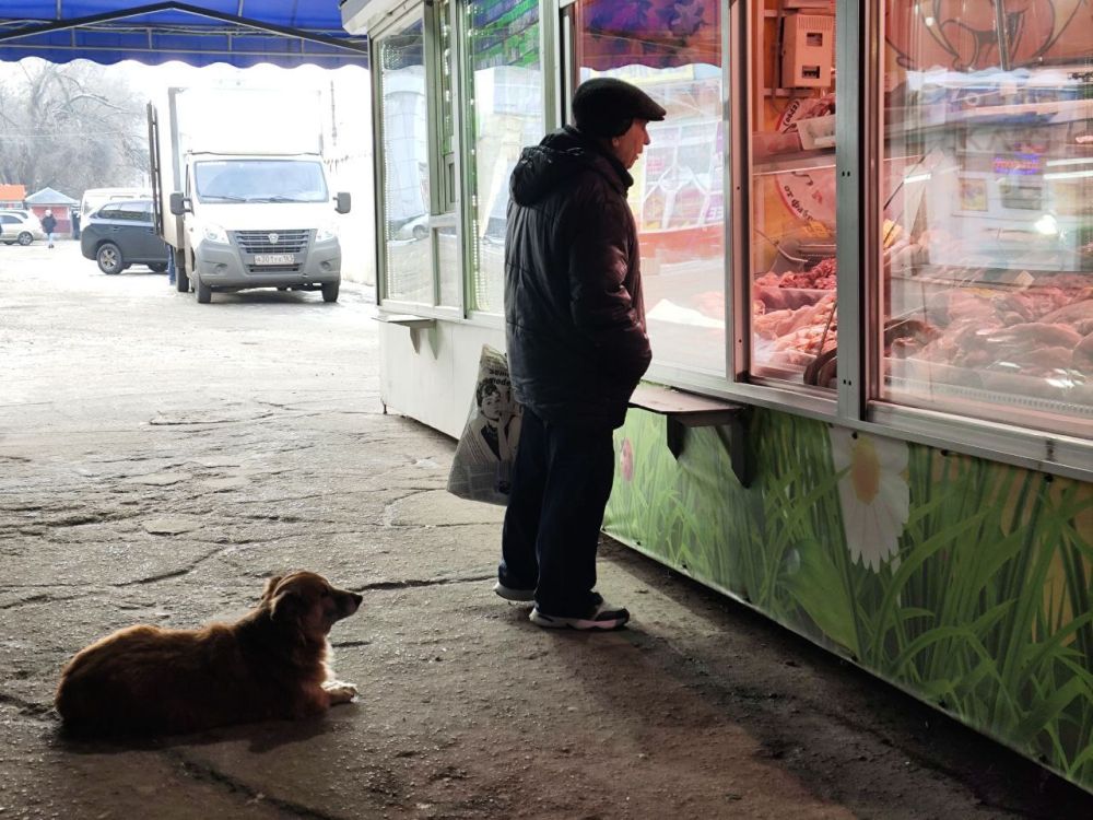 ������� ������