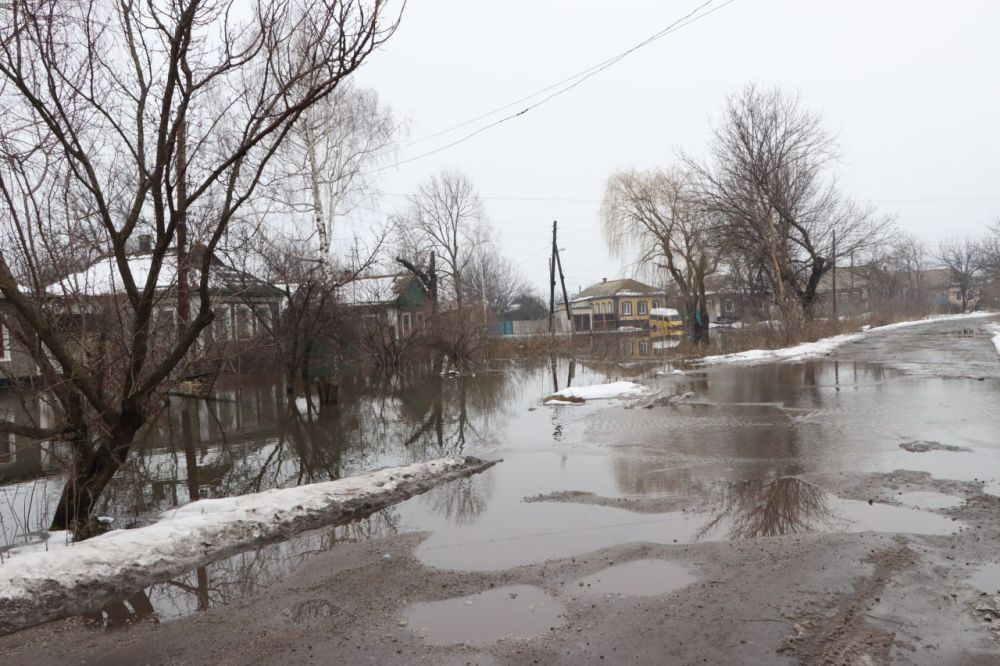 ���������� � ����������� ������, ��� ������ ����������� ����������� �������