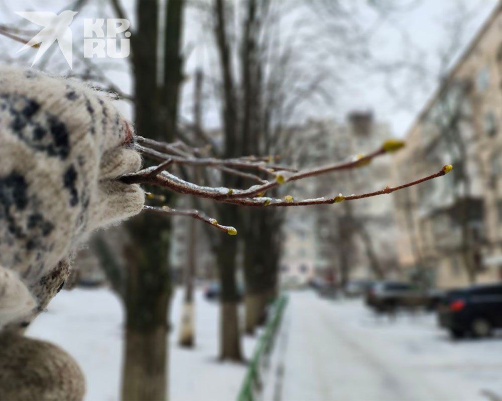 � ��� ��������� �� 10 �������� ������ 16 �������