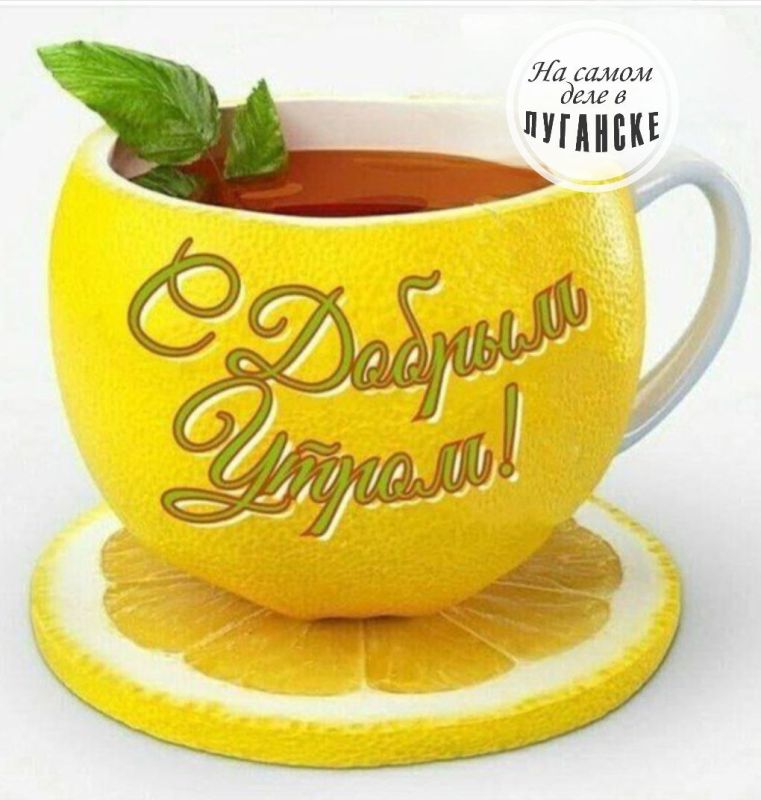 ������ ����, �������!. �������� ������ ����� ��������� � �������� � ��������� �������� ���������� �� ������ ������. ��� �������