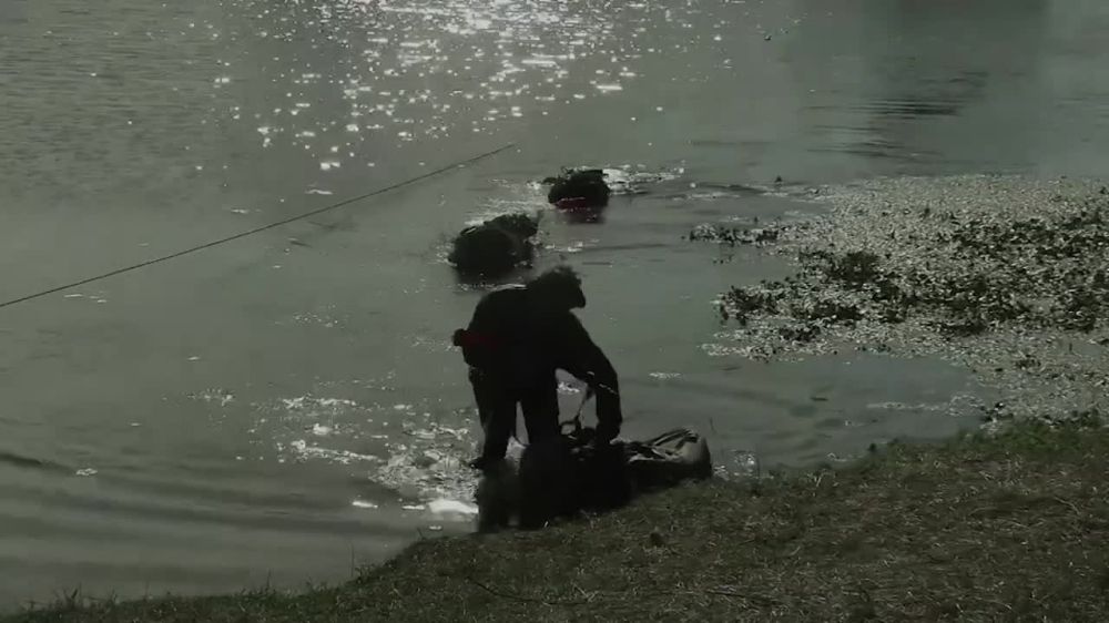 ����� ������. ������ �����