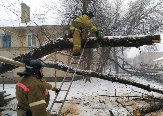 ���������� ��������� ������������� ��������-������������ ������ � 2023 ���� ������� � �������� ����� ���� ����� ��������� ��������