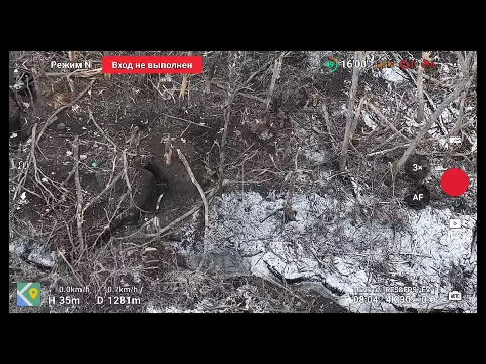 ������ ���������� �� �� ������ "����"