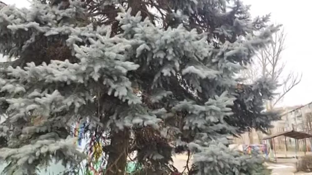 � ���� ������ �������� � �� ����� ����� ����