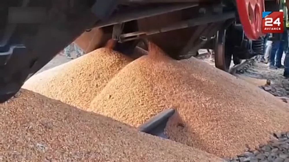 ���������� ������ ��������� �������� �� ������� �� ���������� �������� 24� ��������� ��� � ��������� ������������, ������� � ���������������, ������������ ��������� �� �������