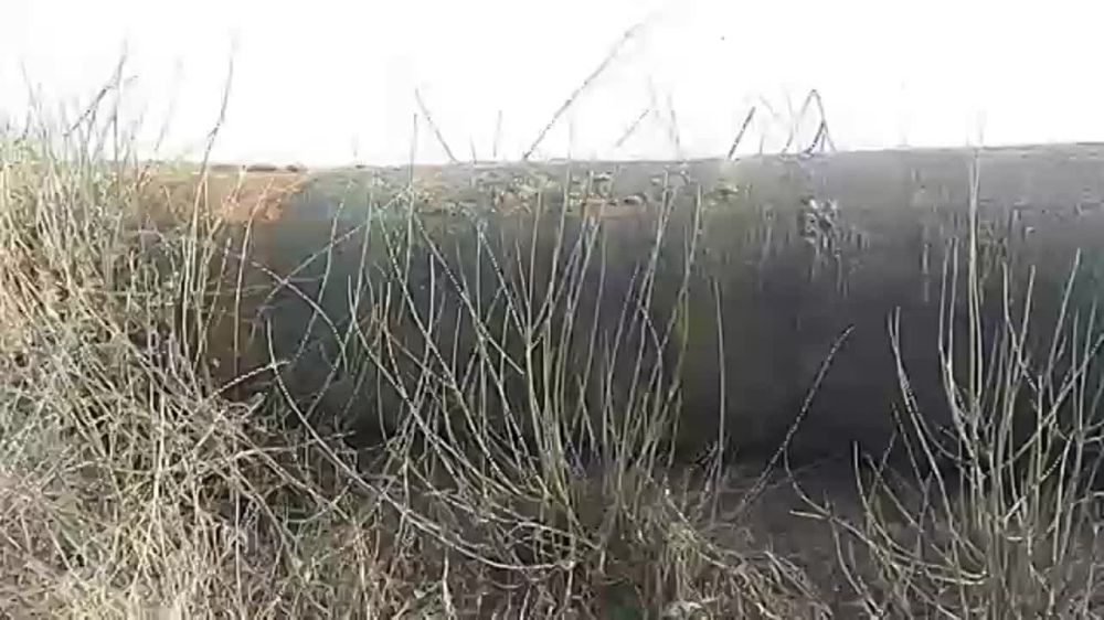 ����������� ������ ���������� ��� ��� "�����������" �������� ��������-����������������� ������ �� �������������� ������������� ��������, �������� �� �����������