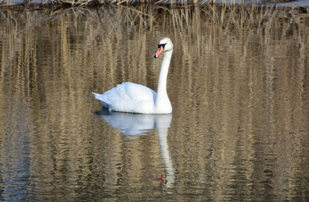 �� ��������� ����� ������������� �����