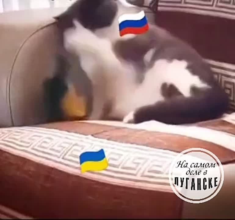 ������� ������ ��� � ����� �����!