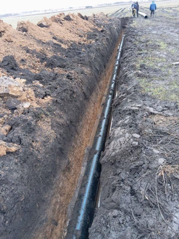 ����������� �����������