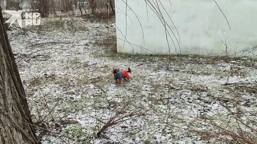 ������ ���� ��������� � ��� 22 �������