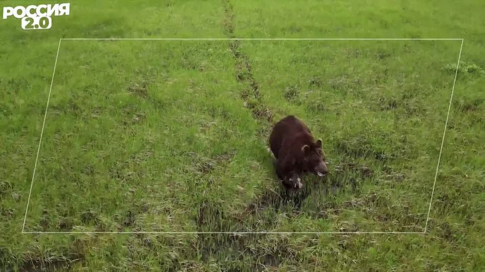 ������ ����������� ��������, ������������ ������� � ���� �� ��������� � ������ ��� �������� �����, �������� �� ������������ ������