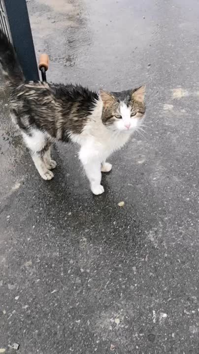 ����� ������������� �������� �����: ���� ��������� �� ������� ��������� ����� �� ������������ ��� ���� �����, ����� ���� ������� �����