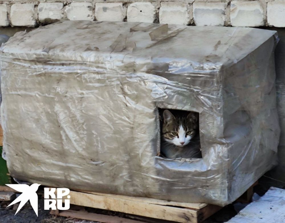 ���� ������� ������ ��� ��������, ����� ������� �������� � ������