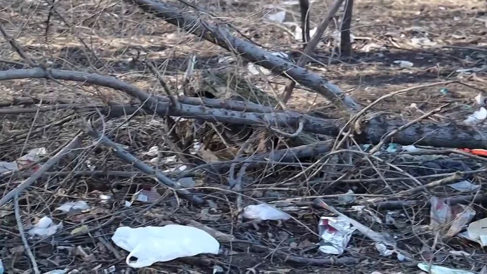 ����� ������������� ���������� ����� ������������ � �������� - ����� ���������� - ��� ������� �� ������ ����� � ����������� ��: ������� ������� �������� � ������� ������ ��� �������� ������ �������� ��� ��������