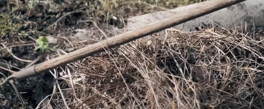 �� ��� ������ �� ��������� �������� ���������� ����������: �� ���������� ����� ����� � ���������� ������� ��� �������