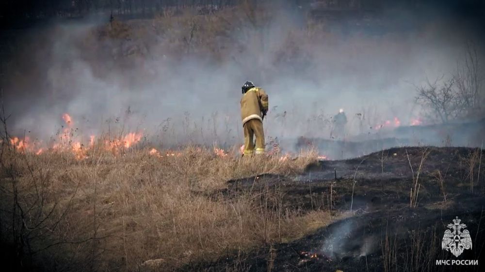 �� �������� ����� � ��� ������������� 15 ����������� ������� �� 18