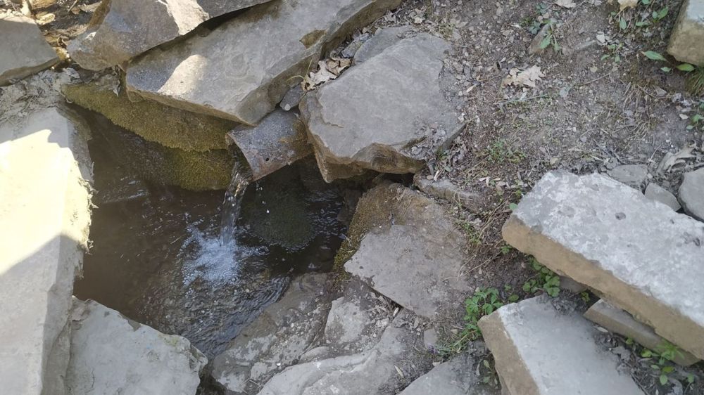 �������� ���������������� �������