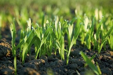 � ����� �������� ������������ ��������� ������ �������