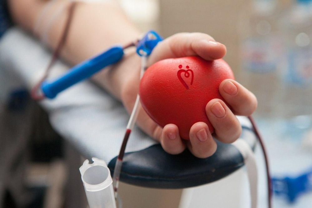 ���� ������ �������� 10 ���������� ������ �� ������� �������� ������� � 2024 ����