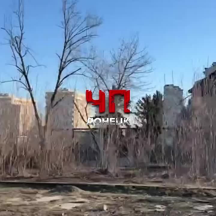 28 �������. ������ ���������߻ ����� �������