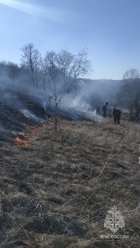 ���������� ������� � ���������� ���������� ������ � ������ ����