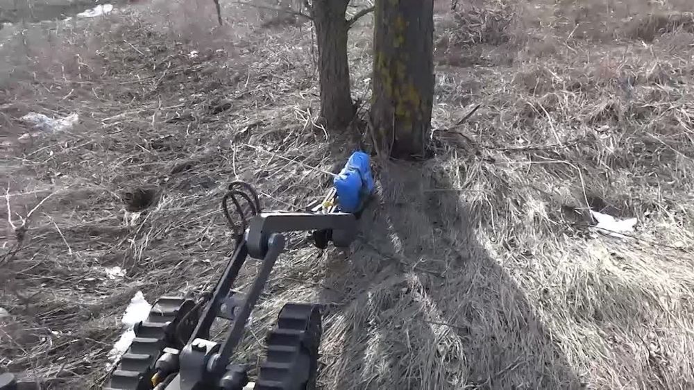 ���������-������������������ ������ ��� 105 ���