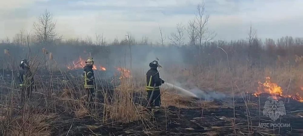 �� ����� 101 �������� �����, � ��������� ����� ����� �� �������� ����������, �� ������: ���. �������-���������, ����� 3 �����