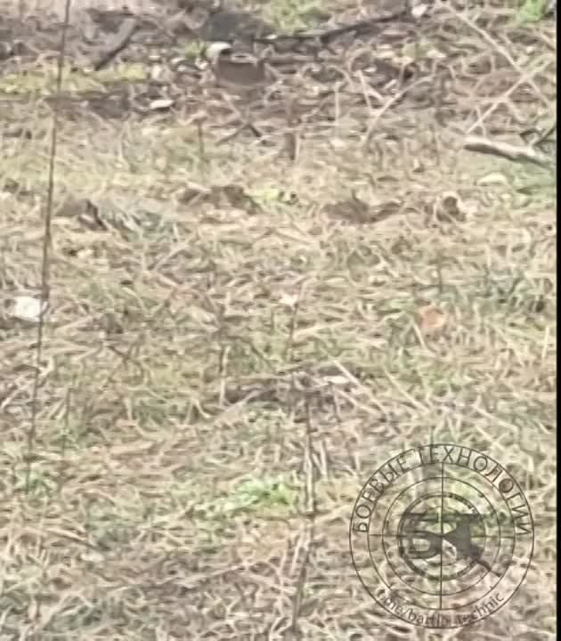 ��������� ���������� ����� ��������� �������� ��������