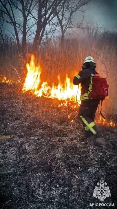 � ��� ���������� ������ � ����������