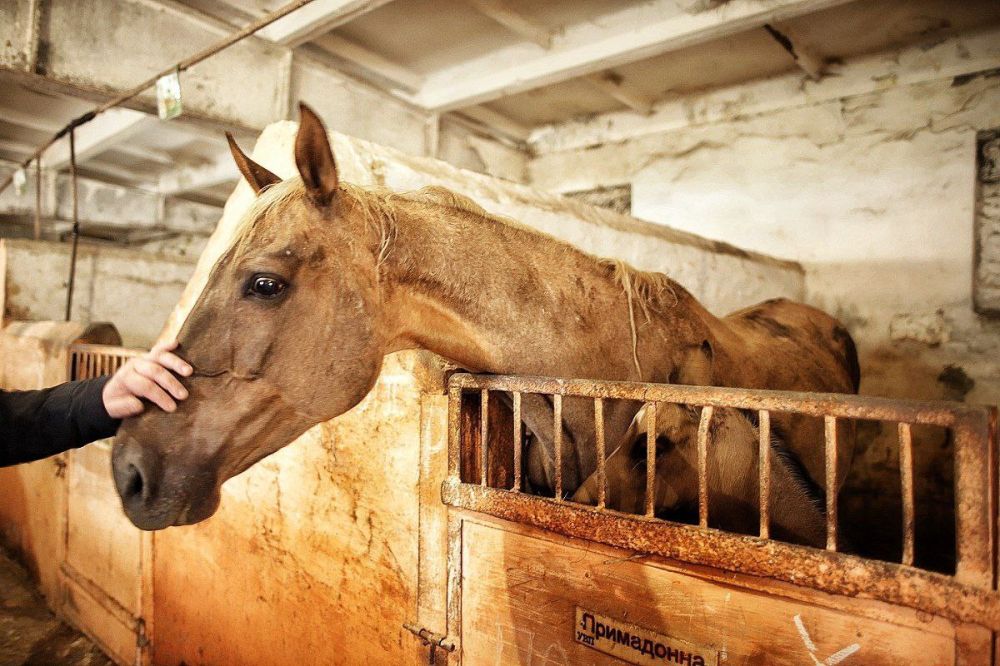 ����������� ������ ����� ��������� ������� � �������� ���������������������� "�� ����� ����� �� ��������� ����"