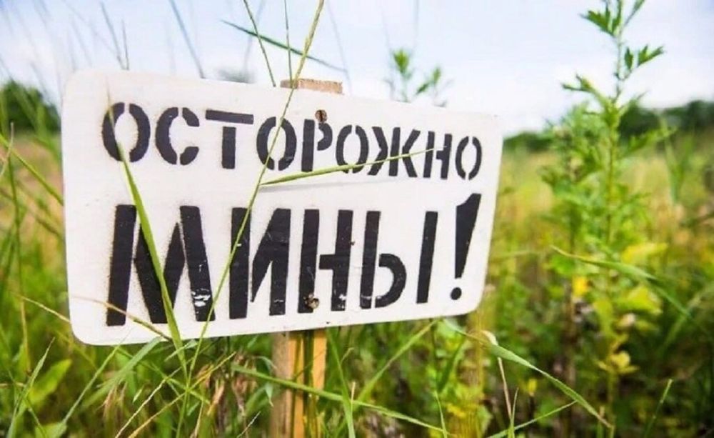 � ��������������� ������ �� ��������������� �������� ���������� ���������� �������